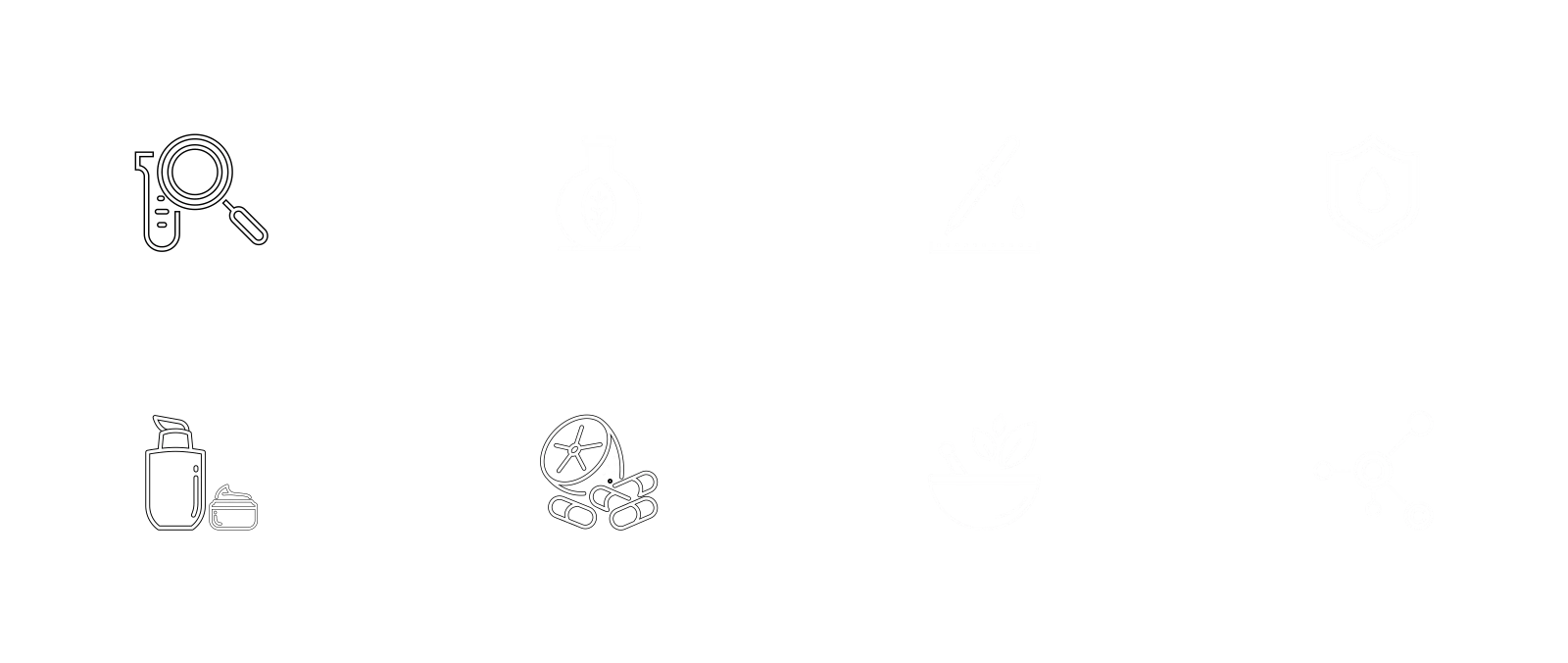 vipragen branding - iconography